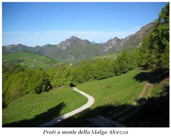 Allegato